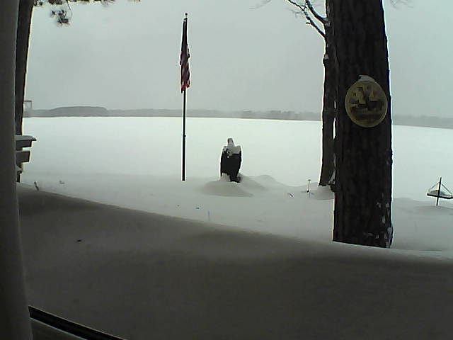 Whiteface Cam Image - Mon, 02/11/2019 12:11pm 