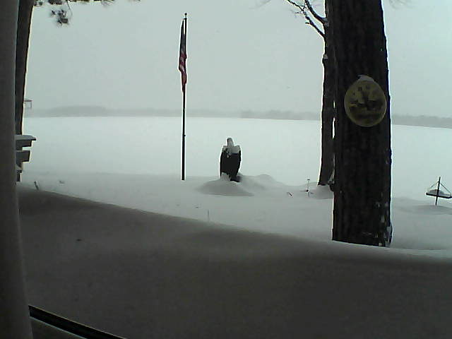 Whiteface Cam Image - Mon, 02/11/2019 12:21pm 