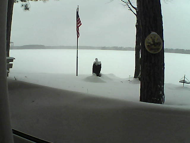 Whiteface Cam Image - Mon, 02/11/2019 12:41pm 