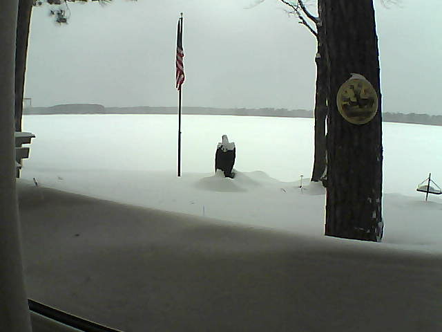 Whiteface Cam Image - Mon, 02/11/2019 12:51pm 