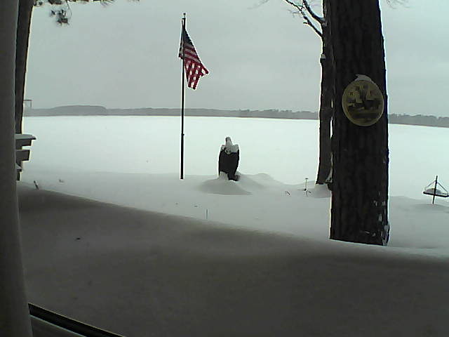 Whiteface Cam Image - Mon, 02/11/2019 1:11pm 