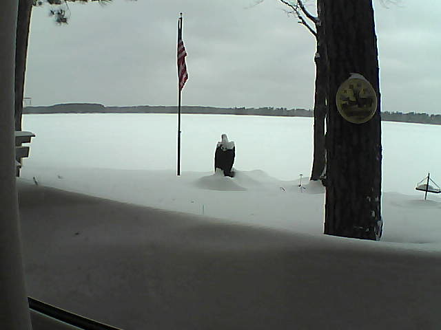 Whiteface Cam Image - Mon, 02/11/2019 1:21pm 