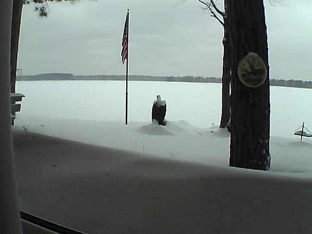 Whiteface Cam Image - Mon, 02/11/2019 1:41pm 