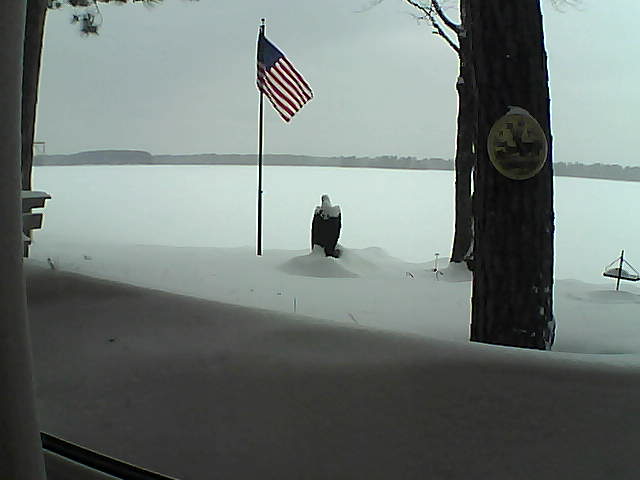 Whiteface Cam Image - Mon, 02/11/2019 2:11pm 