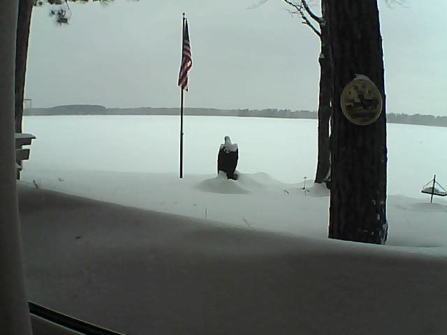 Whiteface Cam Image - Mon, 02/11/2019 2:31pm 