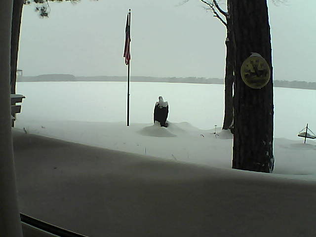 Whiteface Cam Image - Mon, 02/11/2019 3:31pm 