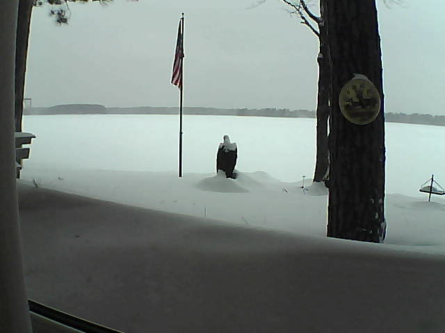 Whiteface Cam Image - Mon, 02/11/2019 4:01pm 