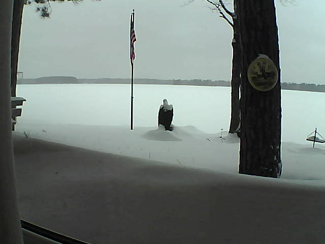 Whiteface Cam Image - Mon, 02/11/2019 4:21pm 