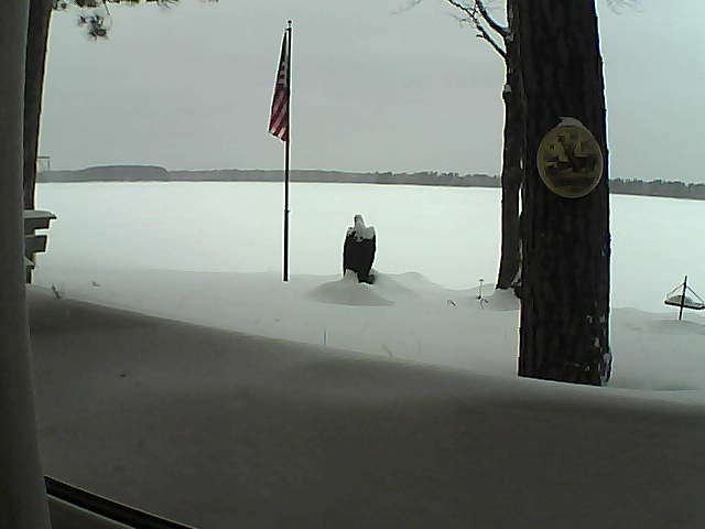 Whiteface Cam Image - Mon, 02/11/2019 4:41pm 