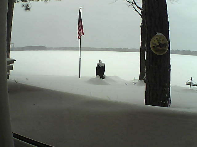 Whiteface Cam Image - Mon, 02/11/2019 4:51pm 