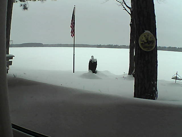 Whiteface Cam Image - Mon, 02/11/2019 5:21pm 