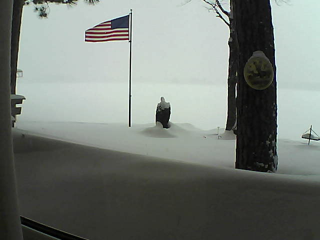 Whiteface Cam Image - Tue, 02/12/2019 9:50am 