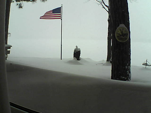 Whiteface Cam Image - Tue, 02/12/2019 10:10am 