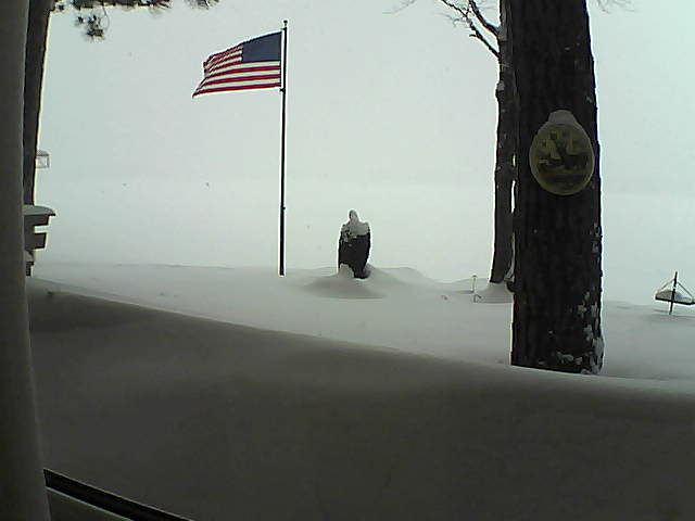 Whiteface Cam Image - Tue, 02/12/2019 10:20am 