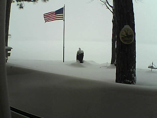 Whiteface Cam Image - Tue, 02/12/2019 11:10am 