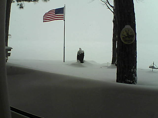 Whiteface Cam Image - Tue, 02/12/2019 12:00pm 