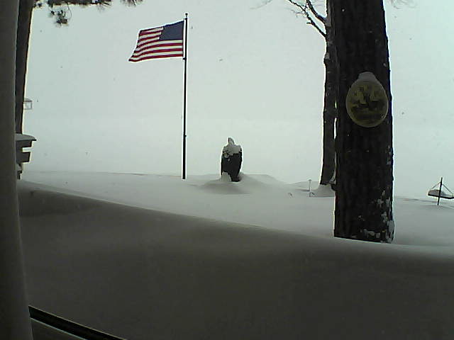 Whiteface Cam Image - Tue, 02/12/2019 12:20pm 