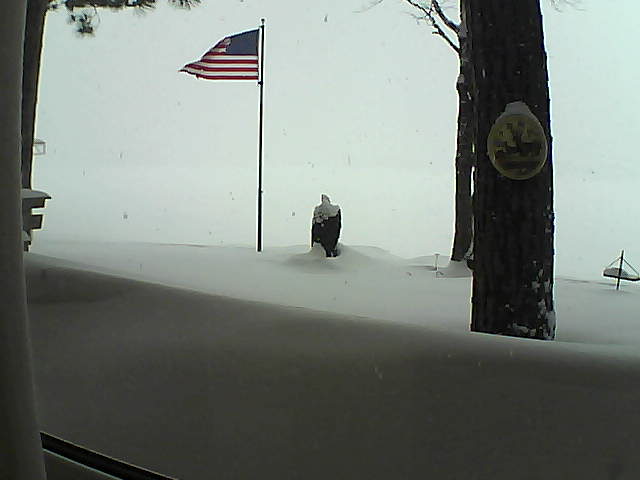 Whiteface Cam Image - Tue, 02/12/2019 1:20pm 