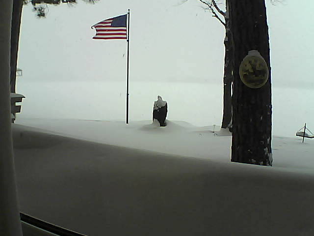 Whiteface Cam Image - Tue, 02/12/2019 2:10pm 