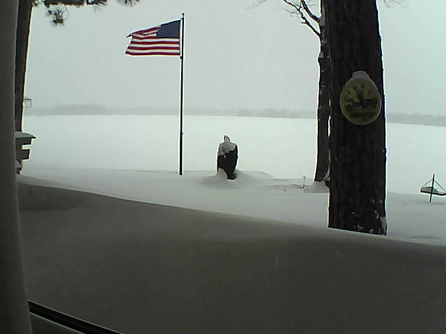 Whiteface Cam Image - Tue, 02/12/2019 3:00pm 