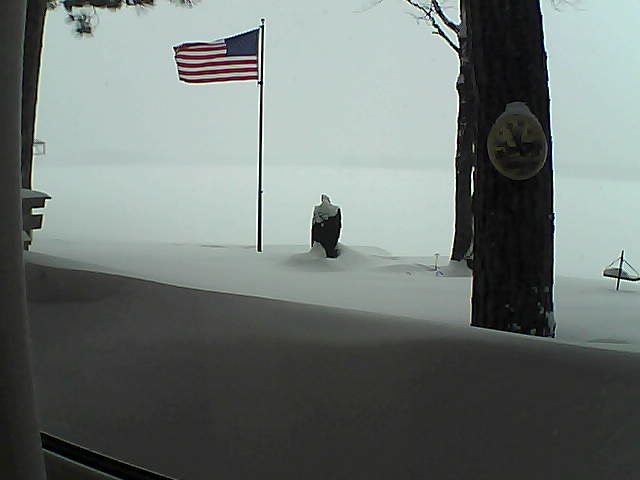 Whiteface Cam Image - Tue, 02/12/2019 3:30pm 