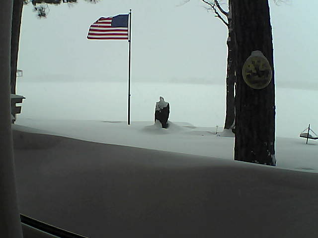 Whiteface Cam Image - Tue, 02/12/2019 4:40pm 