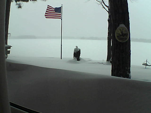 Whiteface Cam Image - Tue, 02/12/2019 5:20pm 