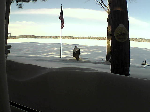 Whiteface Cam Image - Wed, 02/13/2019 9:28am 