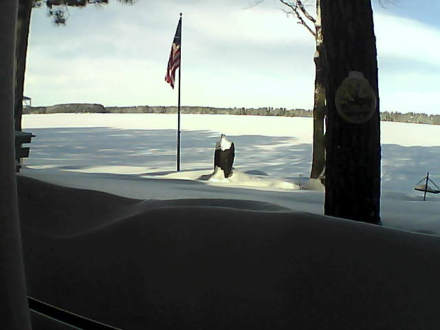 Whiteface Cam Image - Wed, 02/13/2019 10:08am 