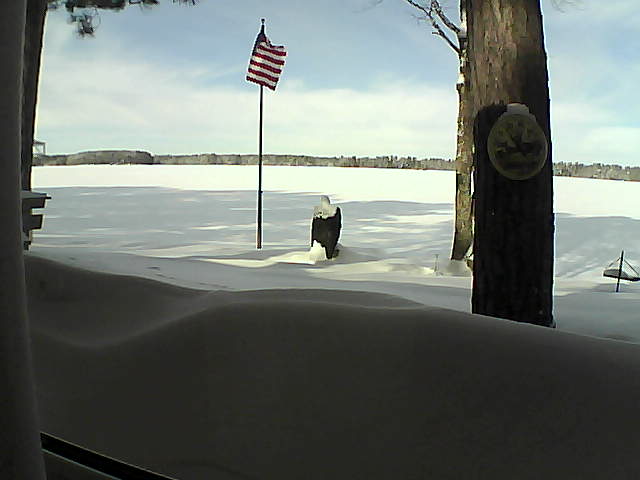 Whiteface Cam Image - Wed, 02/13/2019 10:28am 