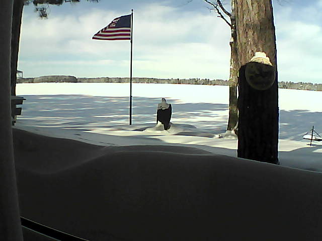 Whiteface Cam Image - Wed, 02/13/2019 10:48am 