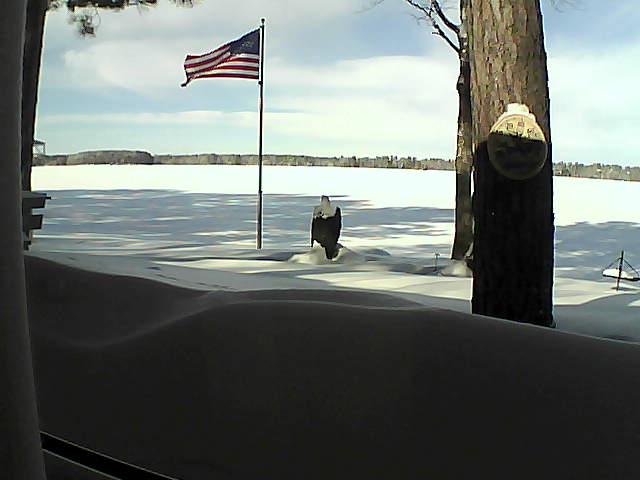 Whiteface Cam Image - Wed, 02/13/2019 10:58am 