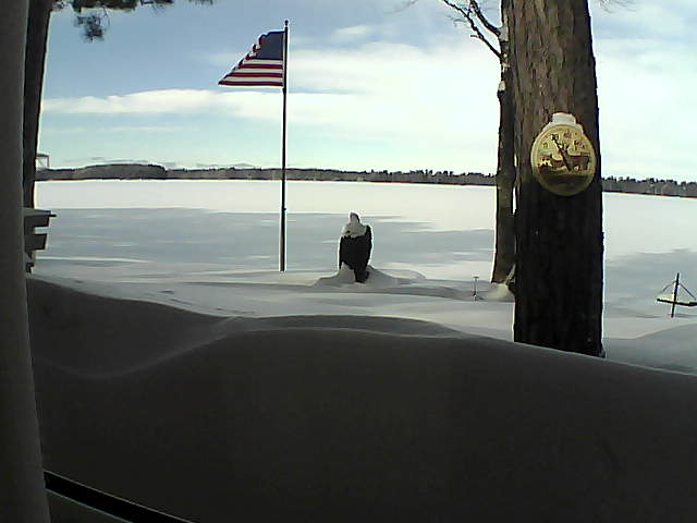 Whiteface Cam Image - Wed, 02/13/2019 11:18am 