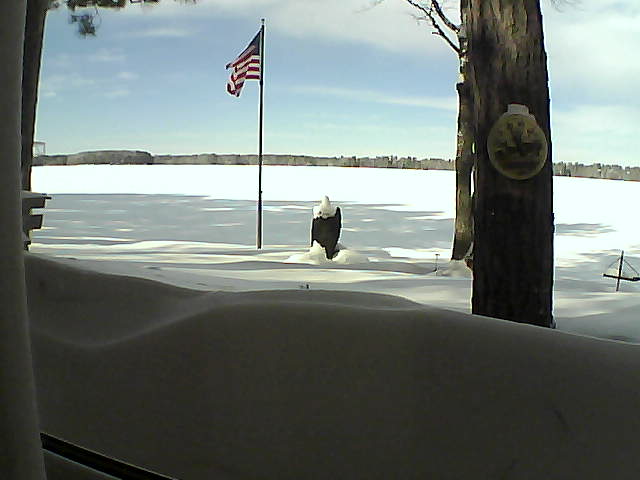 Whiteface Cam Image - Wed, 02/13/2019 11:48am 