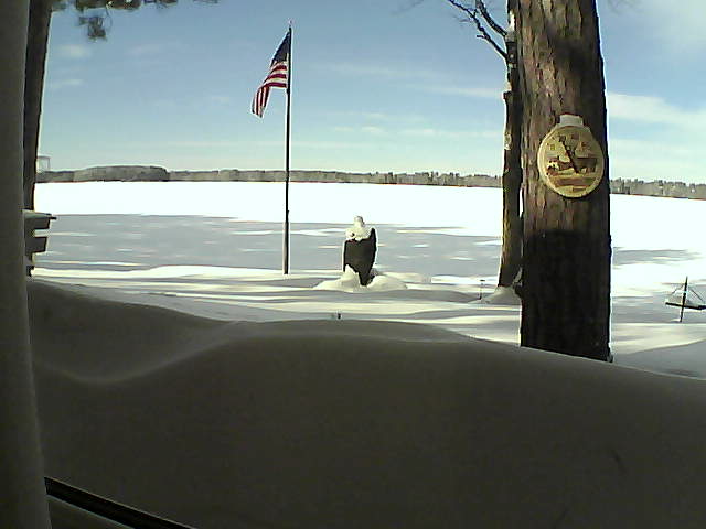 Whiteface Cam Image - Wed, 02/13/2019 11:58am 