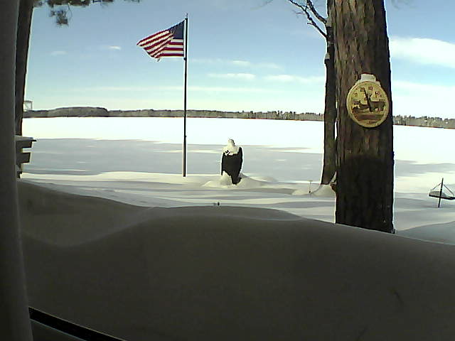 Whiteface Cam Image - Wed, 02/13/2019 12:08pm 