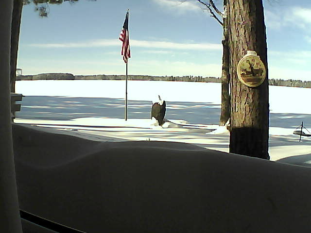 Whiteface Cam Image - Wed, 02/13/2019 12:38pm 