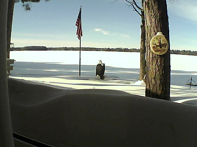 Whiteface Cam Image - Wed, 02/13/2019 1:38pm 