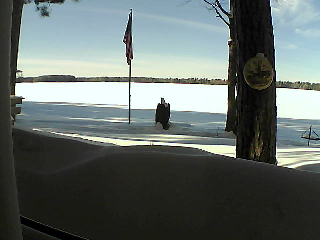 Whiteface Cam Image - Wed, 02/13/2019 2:08pm 