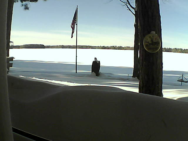 Whiteface Cam Image - Wed, 02/13/2019 2:18pm 