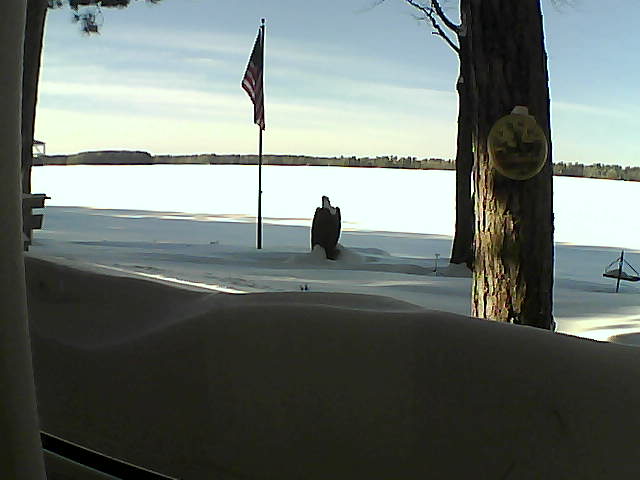 Whiteface Cam Image - Wed, 02/13/2019 2:38pm 