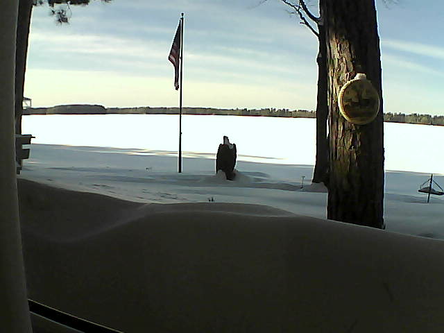 Whiteface Cam Image - Wed, 02/13/2019 2:48pm 