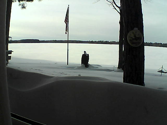 Whiteface Cam Image - Wed, 02/13/2019 3:58pm 