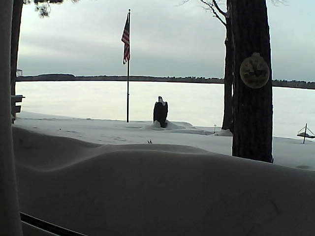 Whiteface Cam Image - Wed, 02/13/2019 4:28pm 