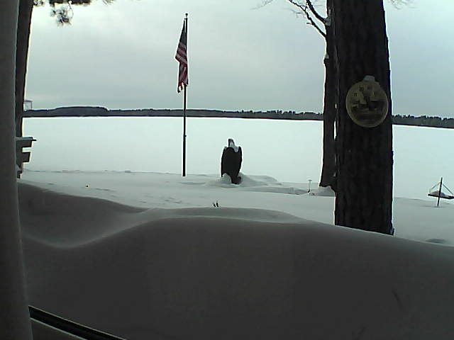 Whiteface Cam Image - Wed, 02/13/2019 4:58pm 