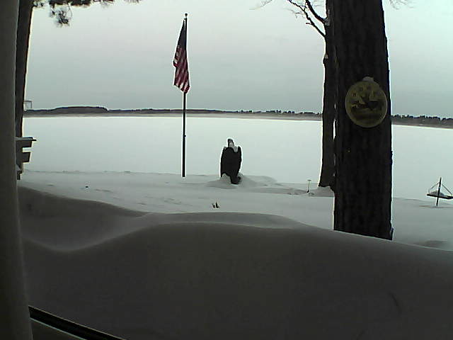 Whiteface Cam Image - Thu, 02/14/2019 7:06am 