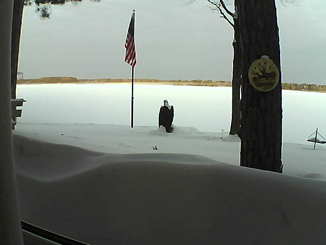 Whiteface Cam Image - Thu, 02/14/2019 7:46am 