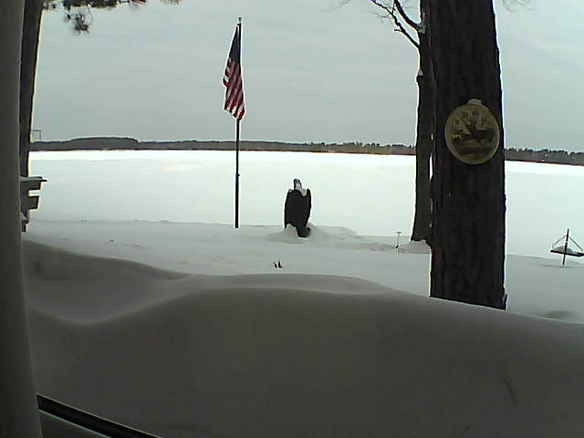 Whiteface Cam Image - Thu, 02/14/2019 8:06am 