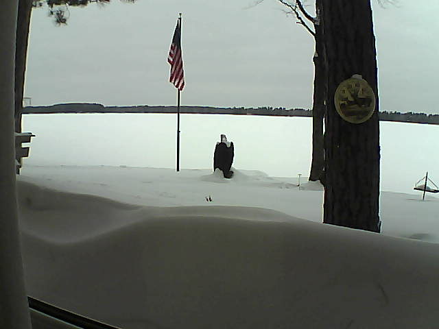 Whiteface Cam Image - Thu, 02/14/2019 8:36am 