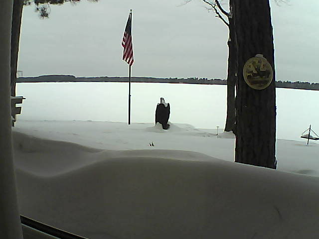 Whiteface Cam Image - Thu, 02/14/2019 8:46am 